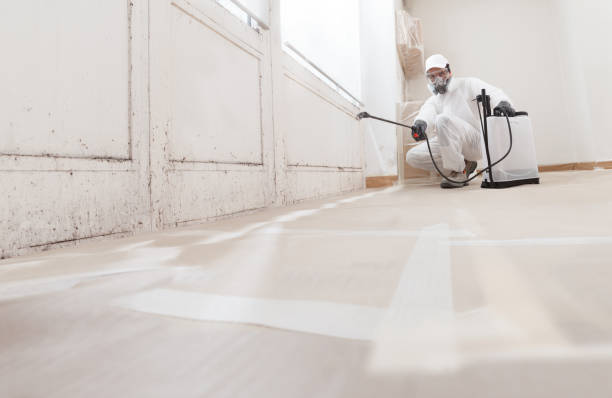24/7 Emergency Attic Mold Remediation experts in Groveland, FL
